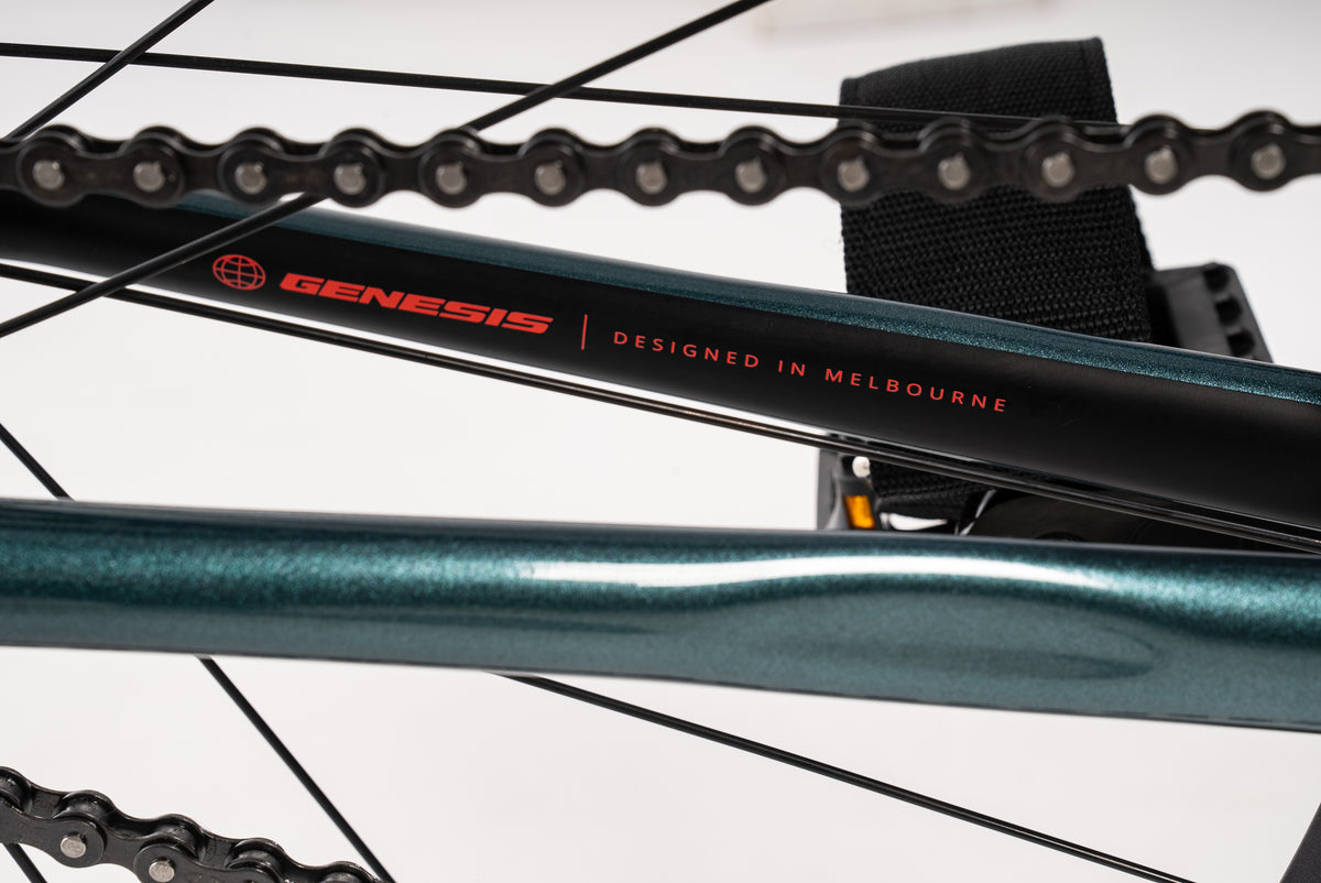 Vechter Genesis Complete (Teal)